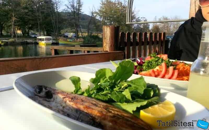 Yesilcay Tatil Koyu Agva